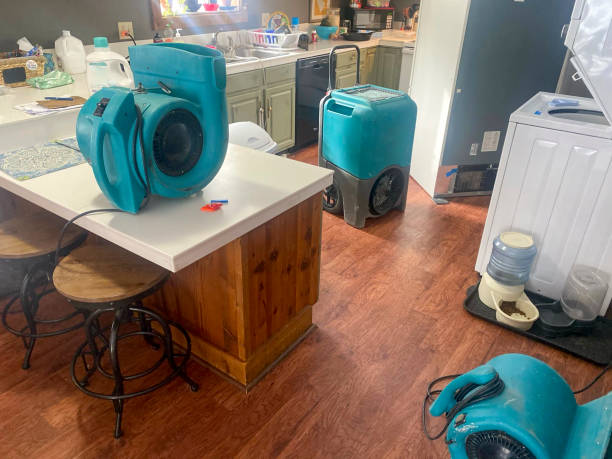 Best Flooded house restoration  in Turner, OR