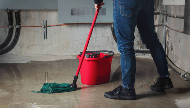 Best Flooded house restoration  in Turner, OR