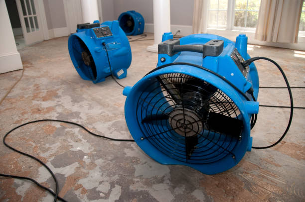 Best Water damage restoration near me  in Turner, OR