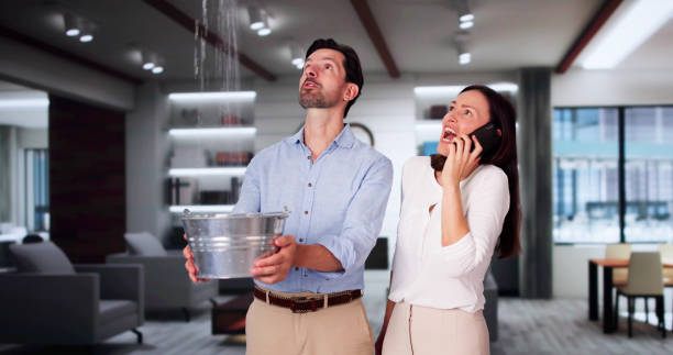 Best Water damage restoration services  in Turner, OR