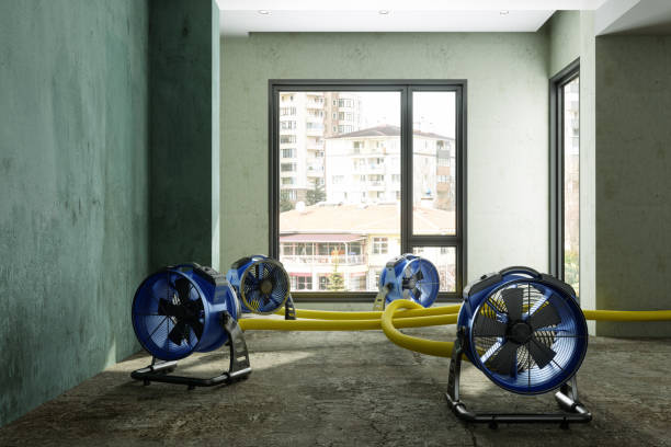 Best Mold removal after water damage  in Turner, OR