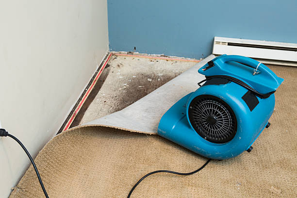 Best Water damage cleanup near me  in Turner, OR